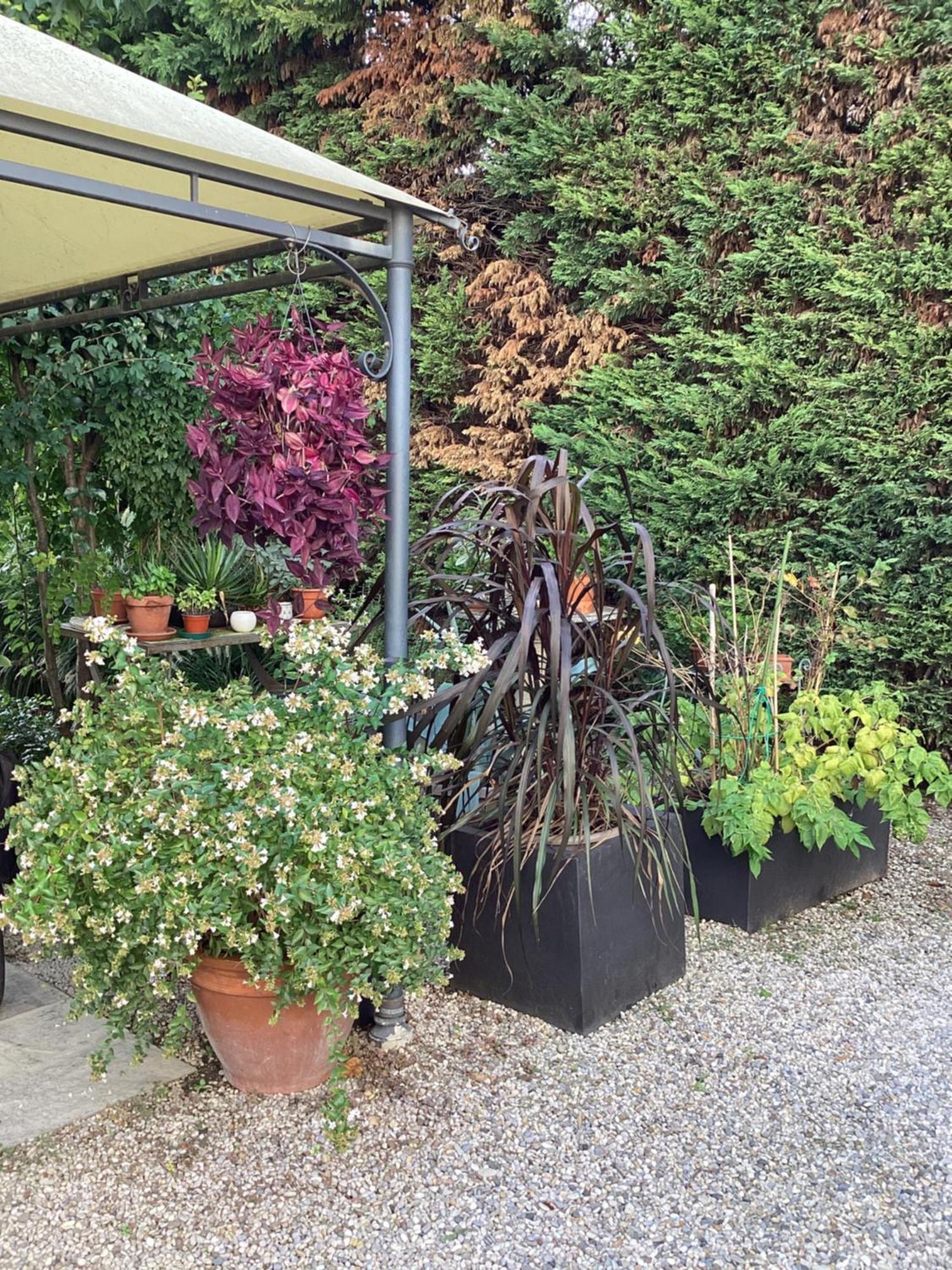 Il Villino Della Duchessa Bed and Breakfast Parma Eksteriør billede